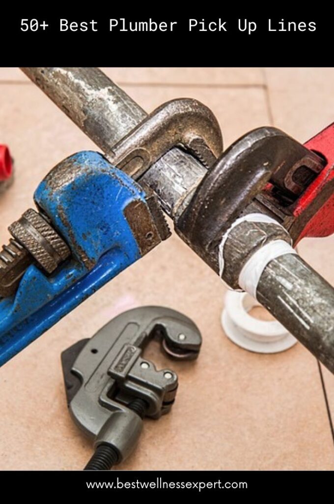 Best Plumber Pick Up Lines